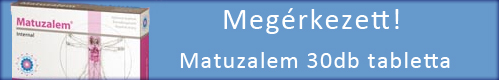 [Banner]