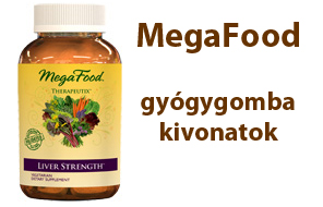 gyógygombák, ganoderma, megafood, gyógyító gombák