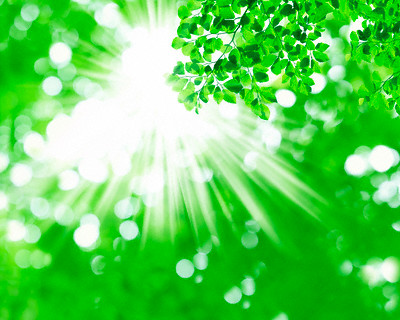 http://drtihanyi.hu/uploads/greensun.jpg